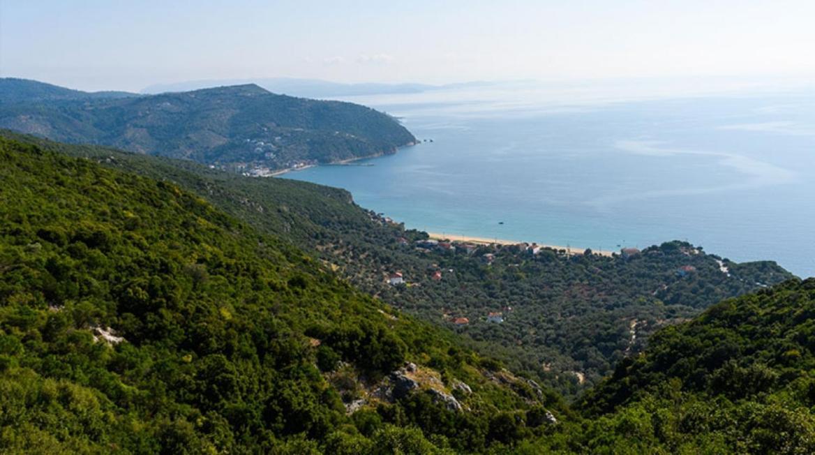 Oniropetra Pelion Mikroホステル エクステリア 写真